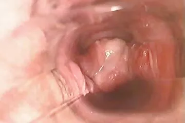 Latina bush phim sẽ co giao trang được xây dựng cho con cặc cứng.